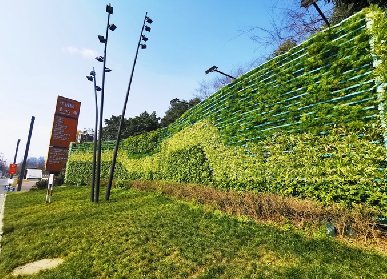 室內(nèi)活體綠植墻