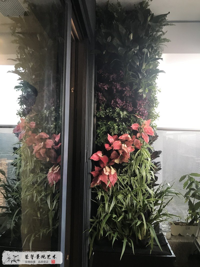 小區(qū)高層陽臺植物墻