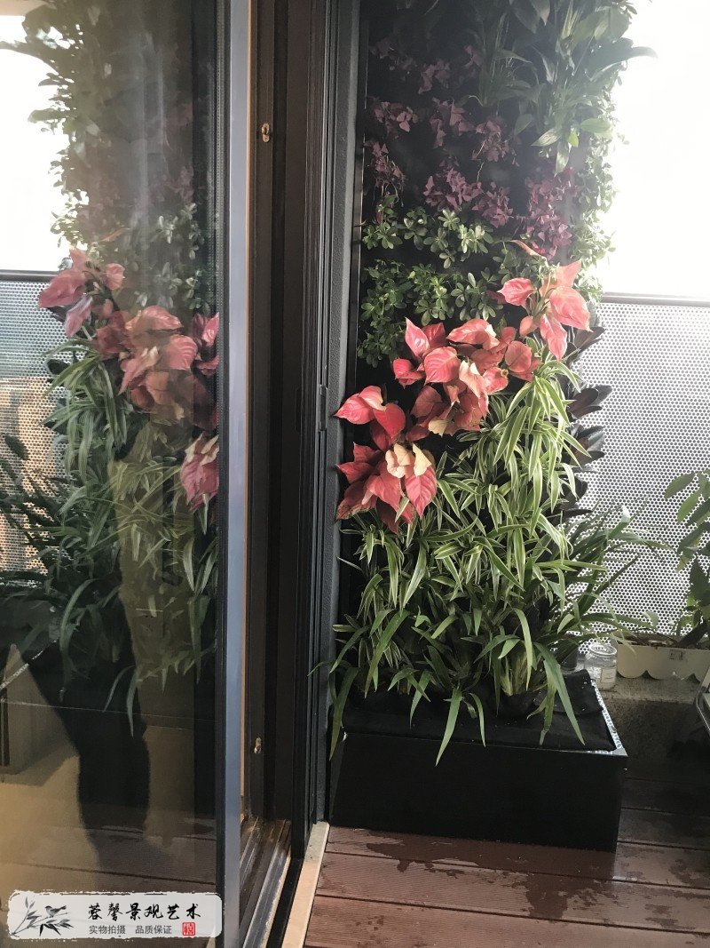 小區(qū)高層陽臺植物墻