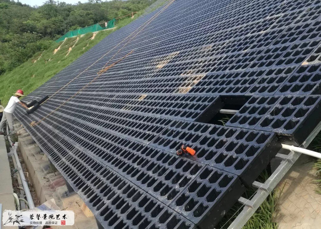 街道綠化案例