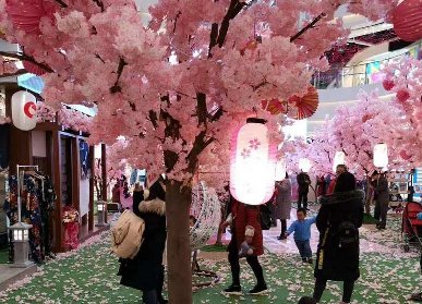 櫻花美陳