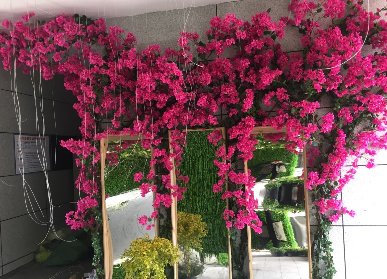 紅色絹花花藤