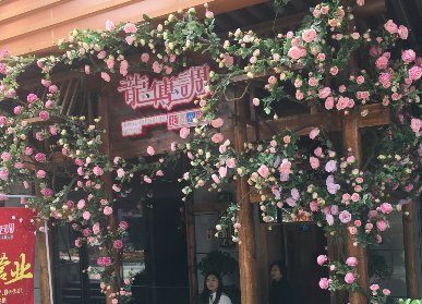 月季花門頭花藝