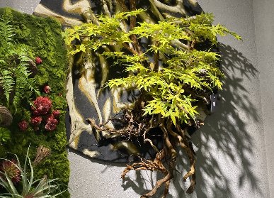 中式枯樹枝花藝