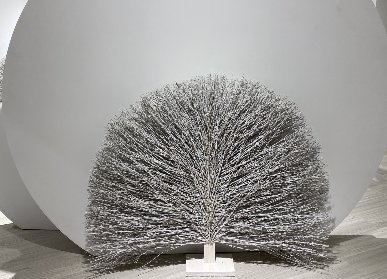 后現(xiàn)代室內(nèi)墻壁花藝