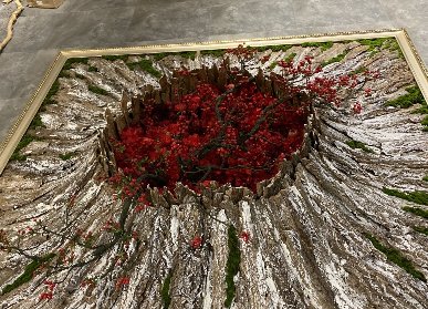 室內(nèi)墻壁花藝軟裝