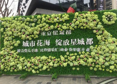 永利星城商業(yè)街景觀