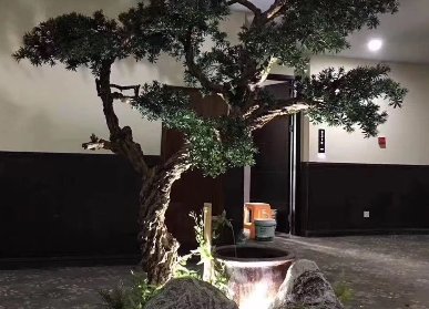 室內(nèi)仿真迎客松景觀
