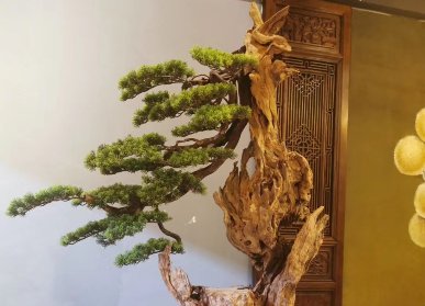 枯樹樹干仿真迎客松