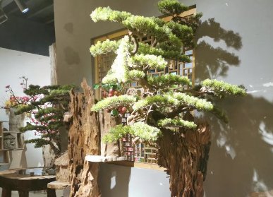 仿真迎客松