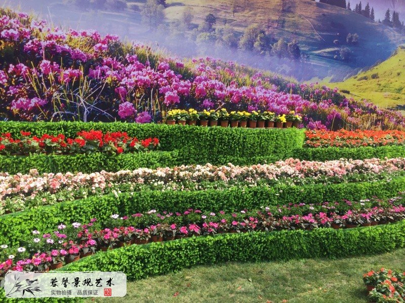 花鏡