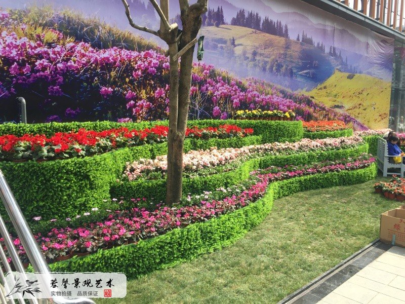 花鏡
