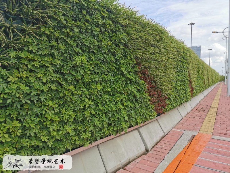 市政路綠化