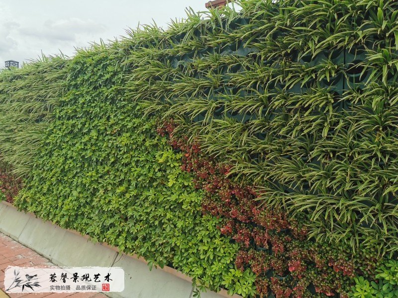市政路綠化