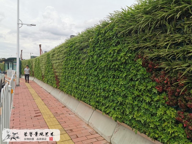 市政路綠化