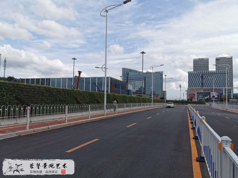 市政路綠化