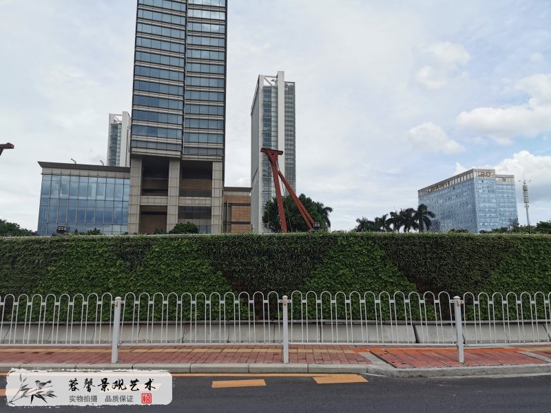 市政路綠化