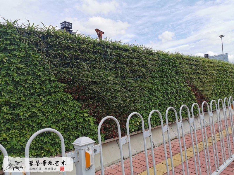 市政路綠化