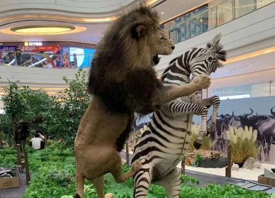 城市動物館主題美陳