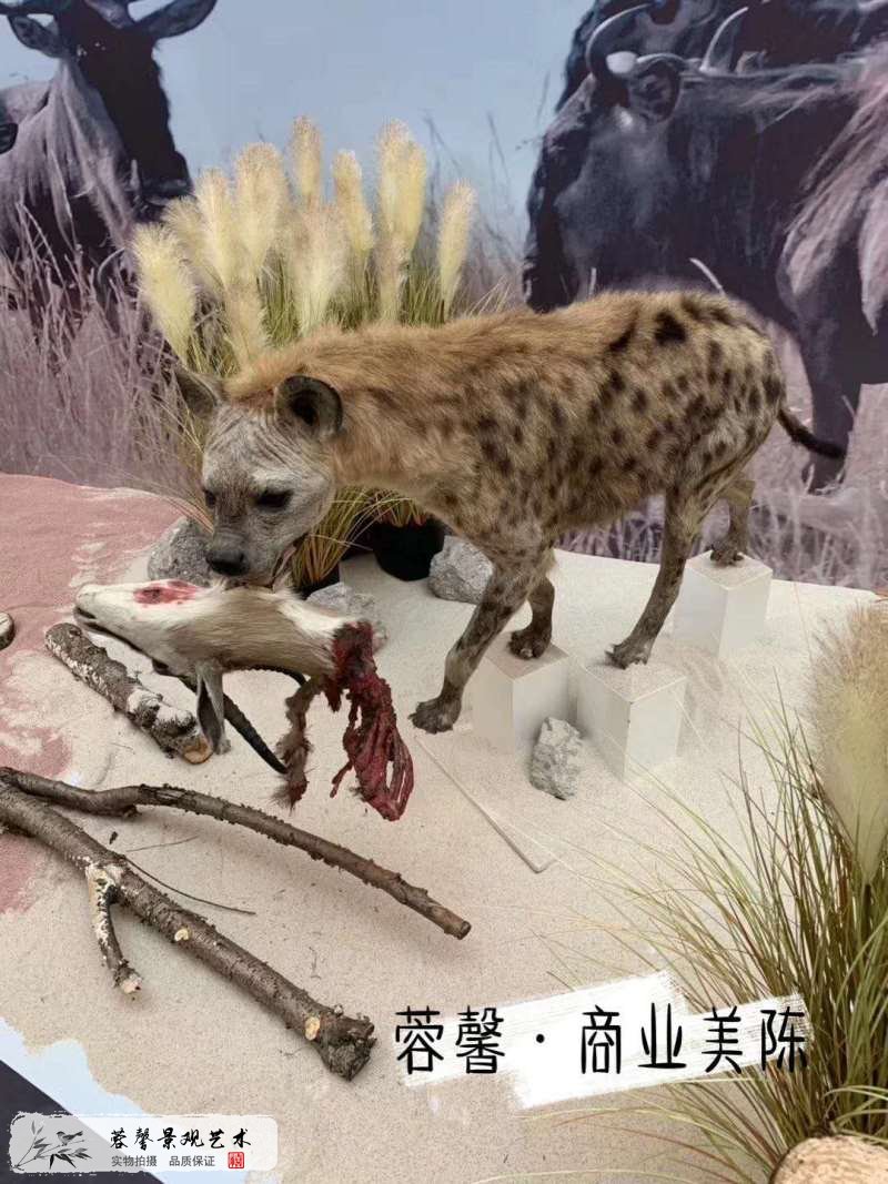 城市動物館主題美陳