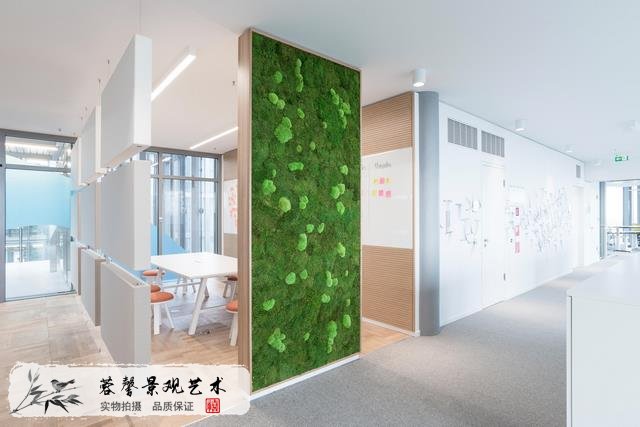 苔蘚墻