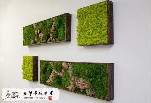 苔蘚墻