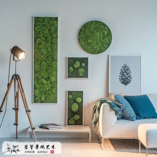 苔蘚墻