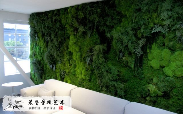 苔蘚墻