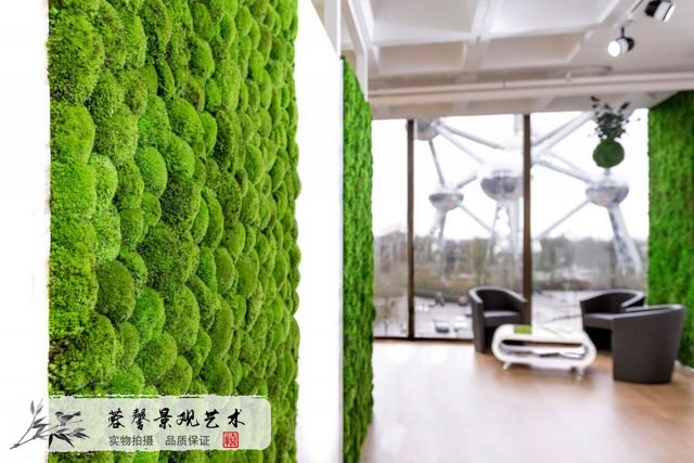 苔蘚墻