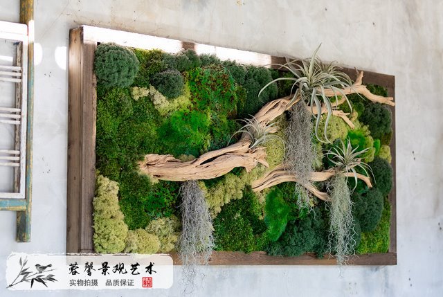 苔蘚墻