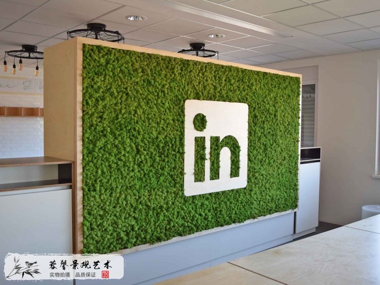 苔蘚墻