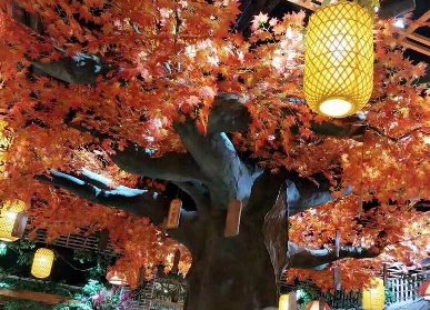 室內(nèi)仿真紅楓樹(shù)