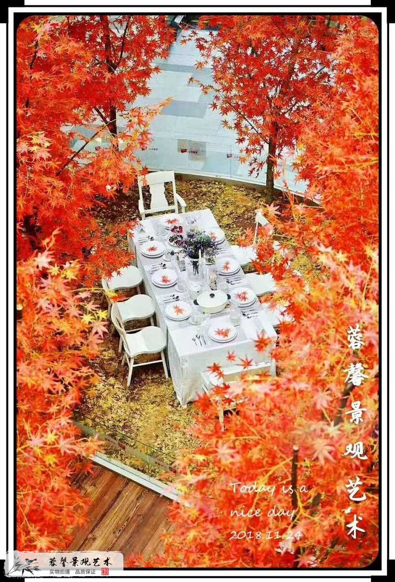 商場(chǎng)室內(nèi)仿真紅楓樹