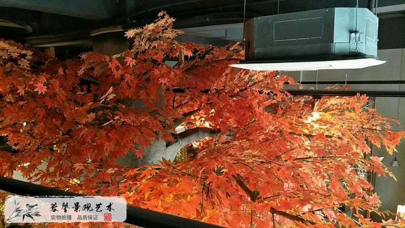 室內仿真紅楓樹