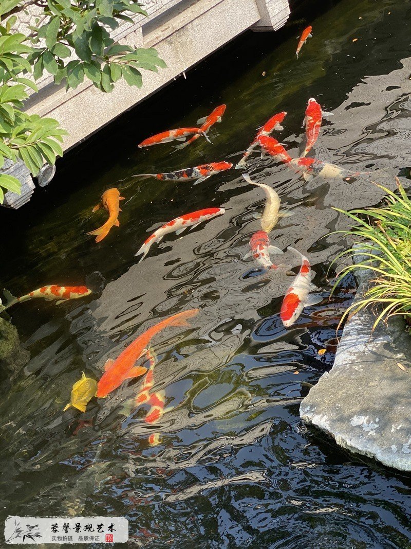 庭院園林造景