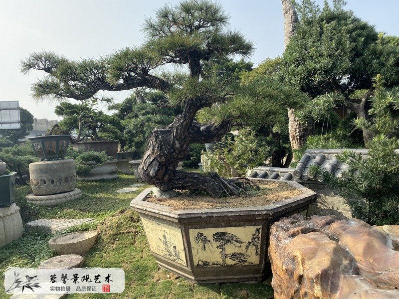 庭院園林造景