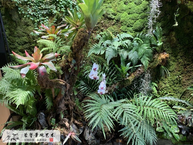 生態(tài)雨林景觀