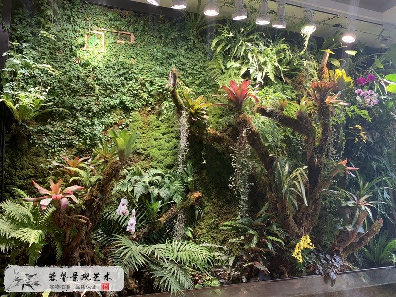 生態(tài)雨林景觀