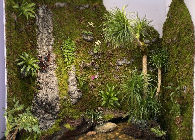 室內(nèi)生態(tài)雨林景觀