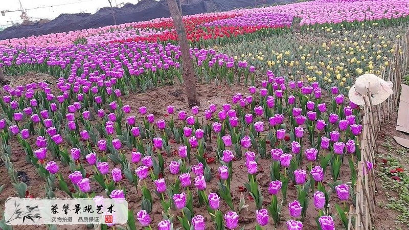 郁金香室外生態(tài)景觀