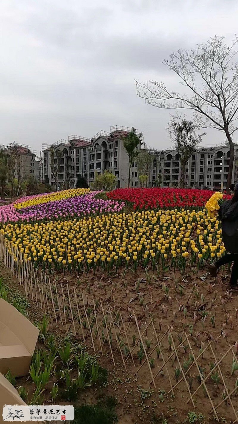 郁金香室外生態(tài)景觀