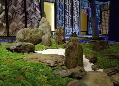 餐廳綠植裝飾
