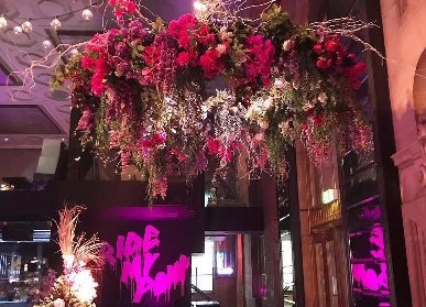 餐吧花藝軟裝