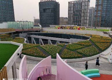 商業(yè)街花海