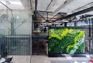辦公室植物墻
