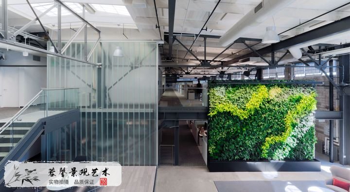 辦公室植物墻