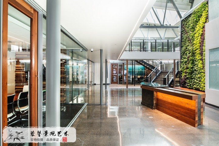 辦公室植物墻