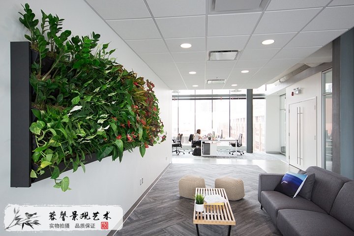 辦公室植物墻
