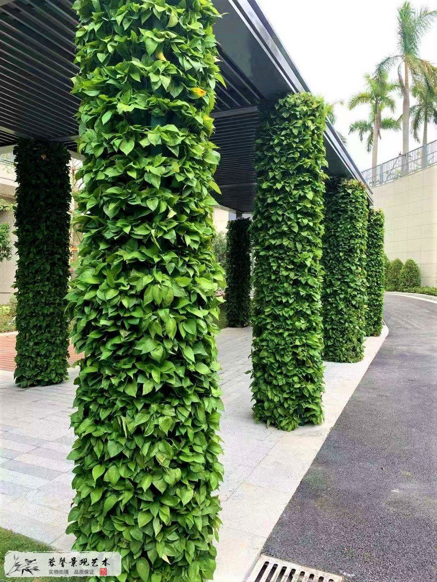植物墻價(jià)值