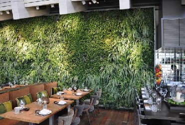餐廳綠植墻
